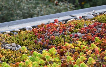the cost of Rashielee green roof installation