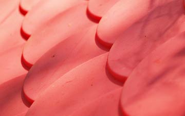 Rashielee plastic roof costs