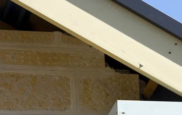 soffit repair Rashielee