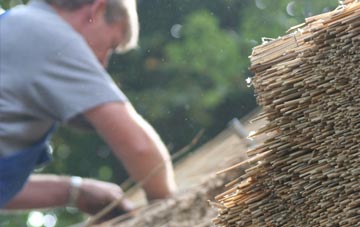 professional Rashielee thatchers