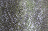 Rashielee fibreglass roof work