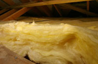 Rashielee pitch roof insulation